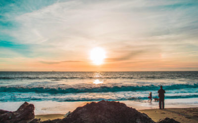 This is Sample Blog Post #2