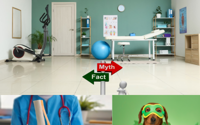 Personal Training Myths vs Facts: Why Working With a Trainer in a Physical Therapy Clinic Matters